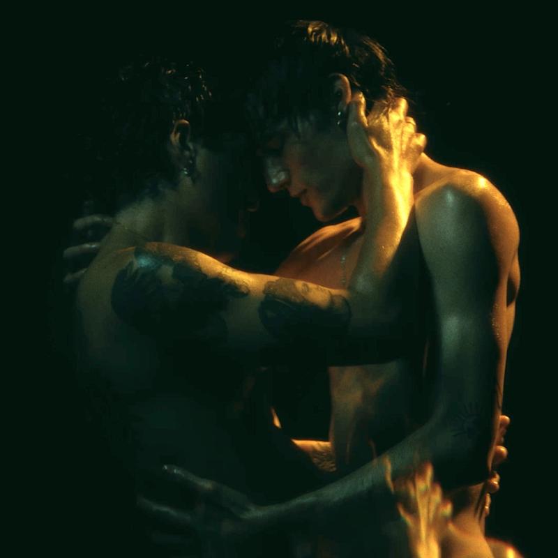 The Irrepressibles – Ecstasy Homosexuality