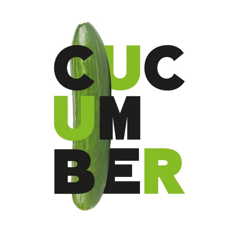 Cucumber – Staffel 1